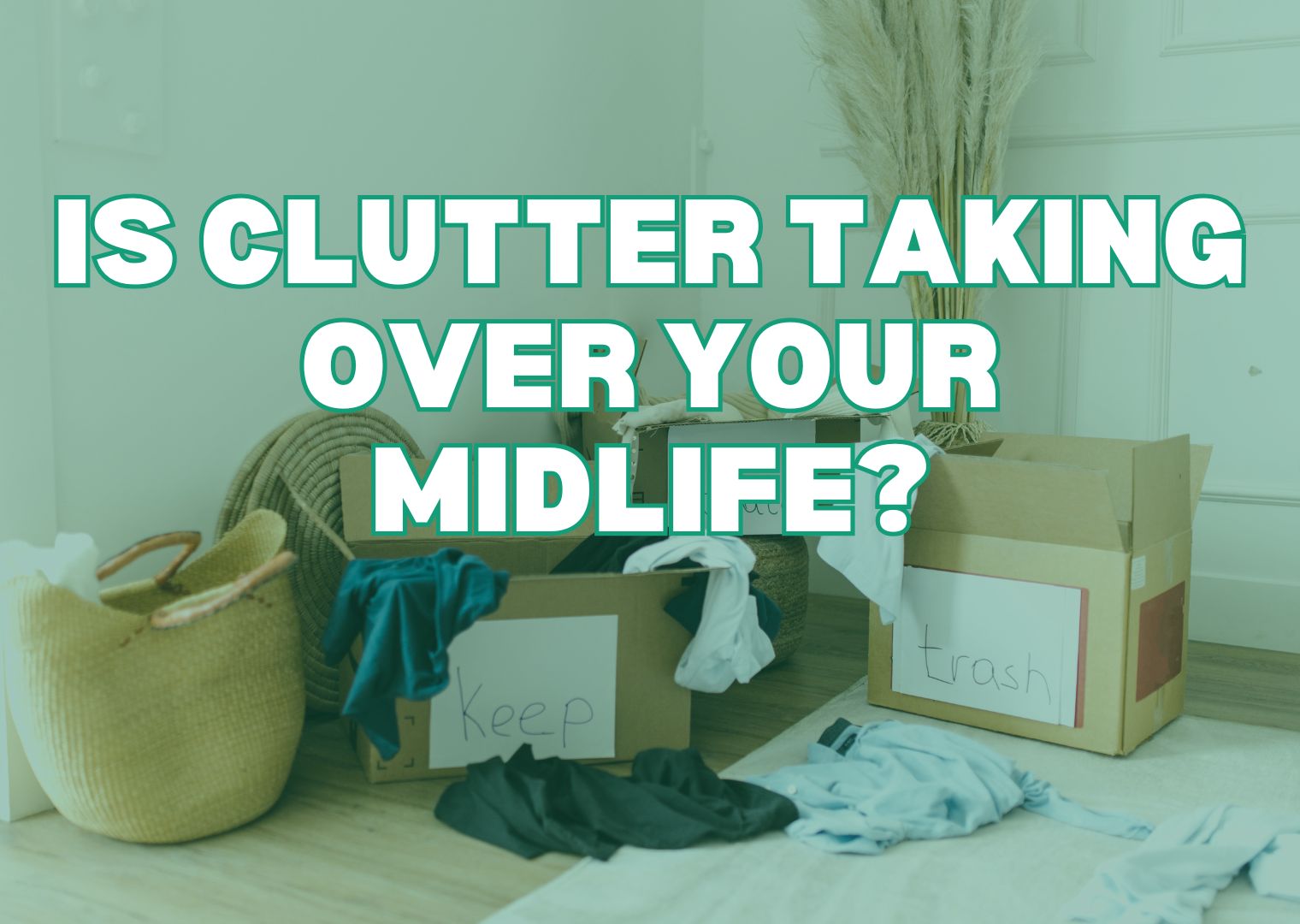 Master Organization: Simple Steps for a Clutter-Free Home